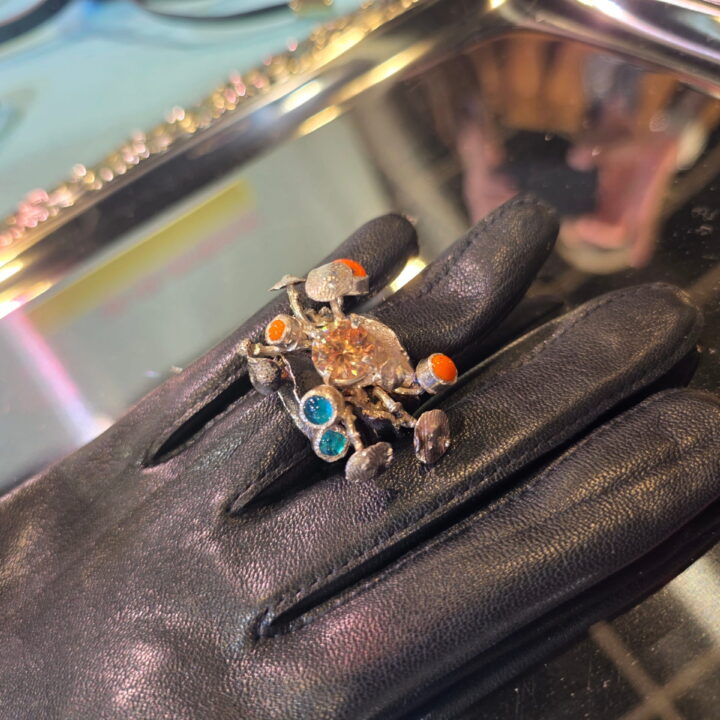 Ocean Reef Bijorcha 2026